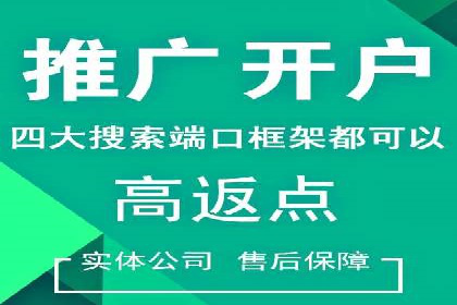 不同平台下的关键词竞价排名策略比较与案例分析